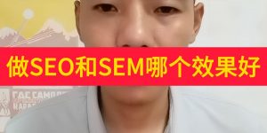 做SEO和SEM哪个效果好缩略图