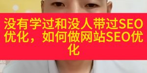 没有学过和没人带过SEO优化，如何做网站SEO优化缩略图